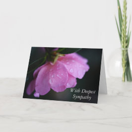 Cartão Rosa Rosa Rosa Elegante Fechar com Simpatia de Ref