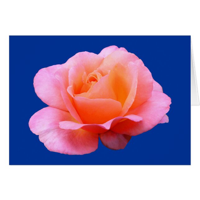 Cartão Rosa Rosa Rosa Rosa - Azul (Frente Horizontal)