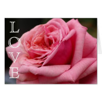 Cartão Rosa Rosa Rosa-Rosa LOVE