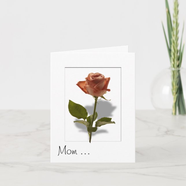 Cartão Rosa Rosa Rosa Rosa Rosa com Sombra (Frente)