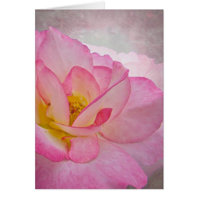 Cartão Rosa rosa-vitoriano (Frente)