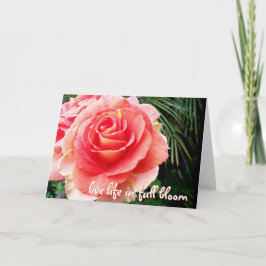 Cartão Rosa rosa, viva a vida em flor, citando elegância