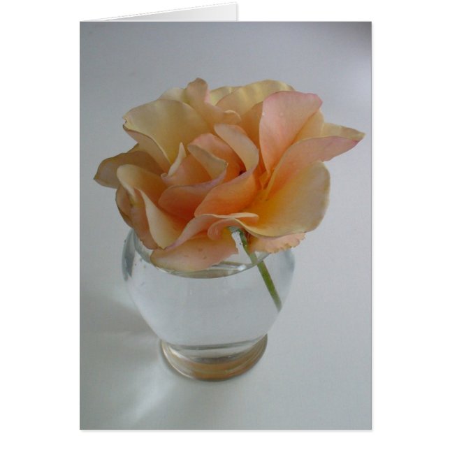 Cartão Rosa suave (Frente)