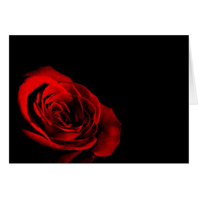 Cartão Rosa vermelha (Frente Horizontal)