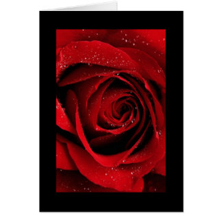 Cartão Rosa vermelha