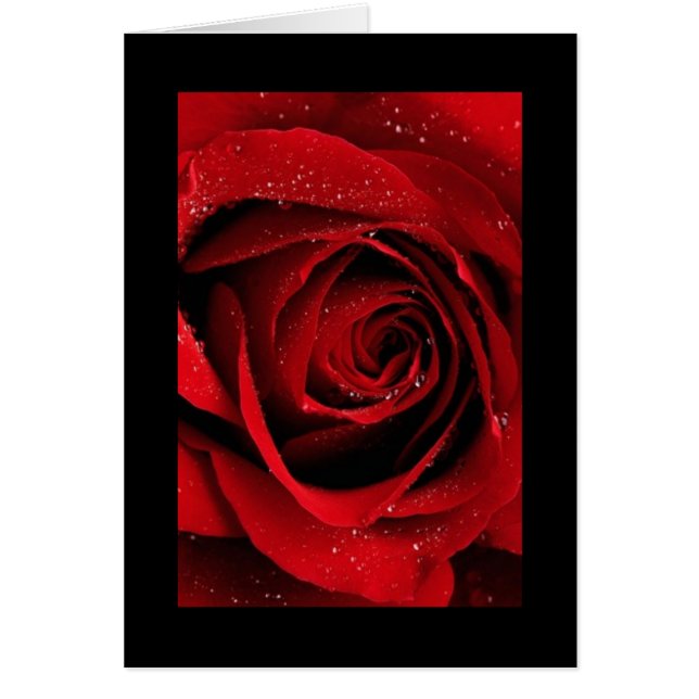 Cartão Rosa vermelha (Frente)