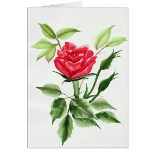 Cartão Rosa vermelha