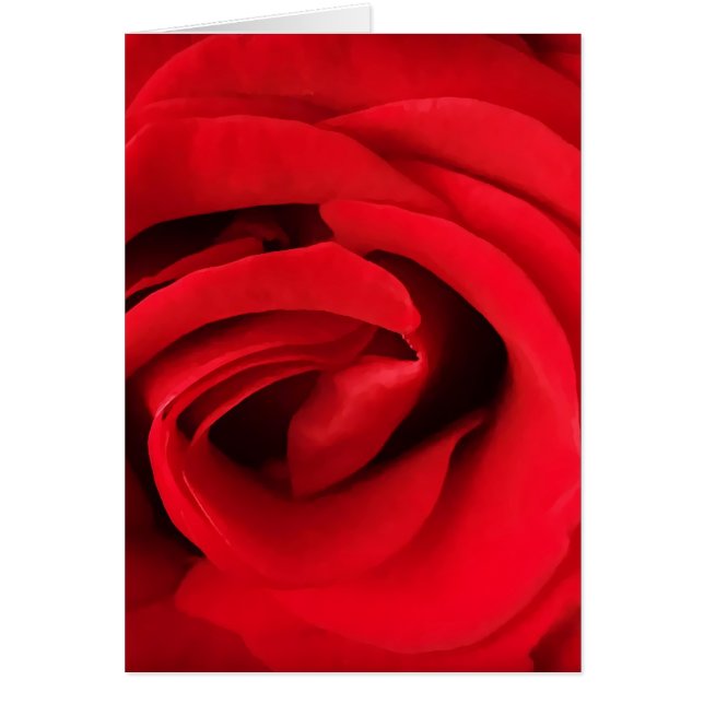 Cartão Rosa Vermelha (Frente)