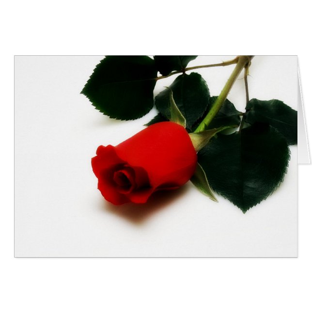 Cartão Rosa vermelha (Frente Horizontal)