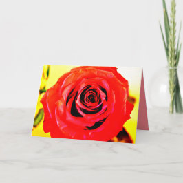 Cartão Rosa Vermelha