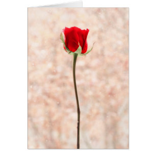 Cartão Rosa vermelha bonita personalizável