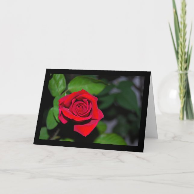 Cartão Rosa Vermelha Carmesim (Frente)
