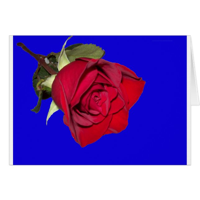 Cartão Rosa Vermelha com Fundo Azul (Frente Horizontal)