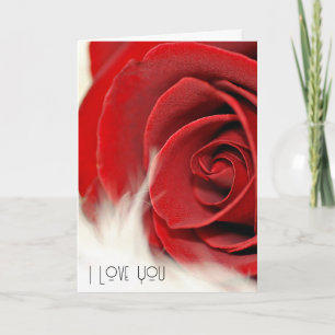 Cartão Rosa vermelha De Aniversário Na Pele