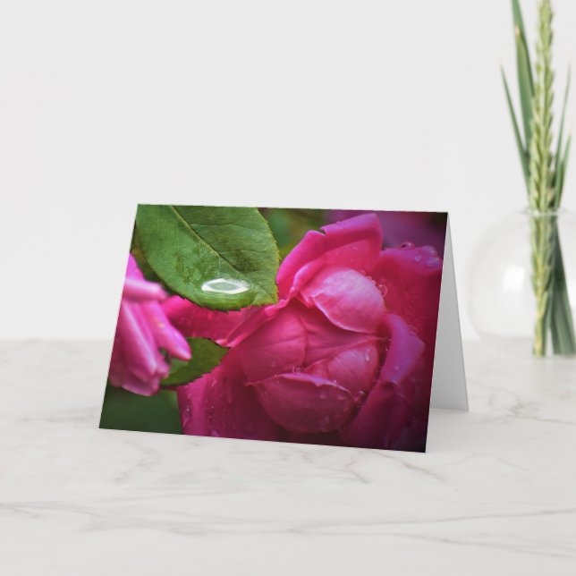 Cartão Rosa vermelha e Raindrops, placa (Frente)