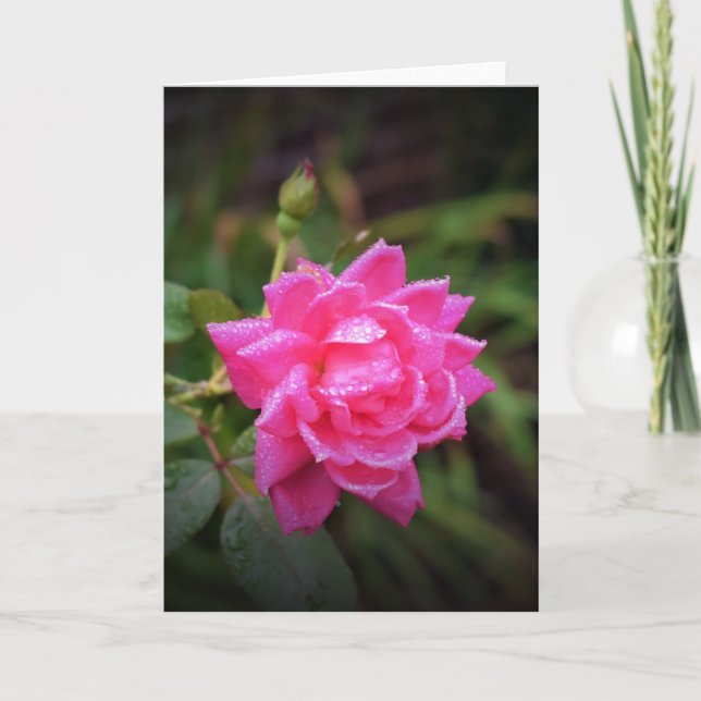 Cartão Rosa vermelha e Raindrops, placa (Frente)