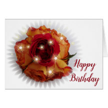 Rosa Vermelha e Rosas Laranja e Amarelas