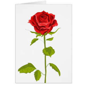 Cartão Rosa vermelha Floral Rosas De Flor Amor