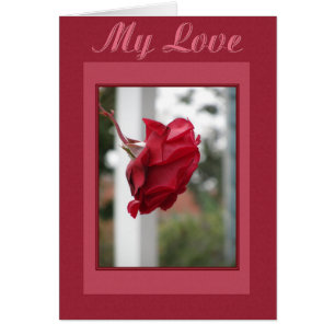 Cartão Rosa vermelha Meu Amor