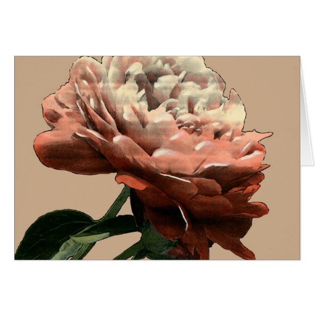 Cartão Rosa vermelha Ruby com Destaques Brancos (Frente Horizontal)