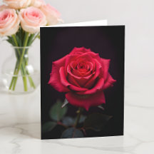 Rosa Vermelha Será Minha Namorada?