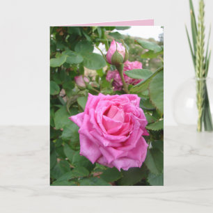 Cartão Rosa Vintage Rosa flores florais jardim
