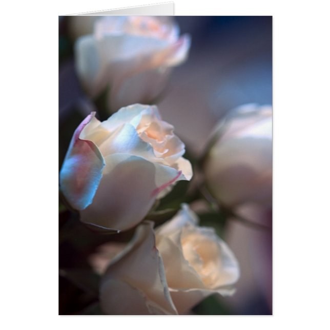 Cartão Rosas (Frente)