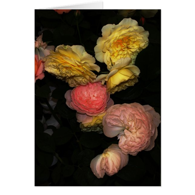 Cartão Rosas (Frente)