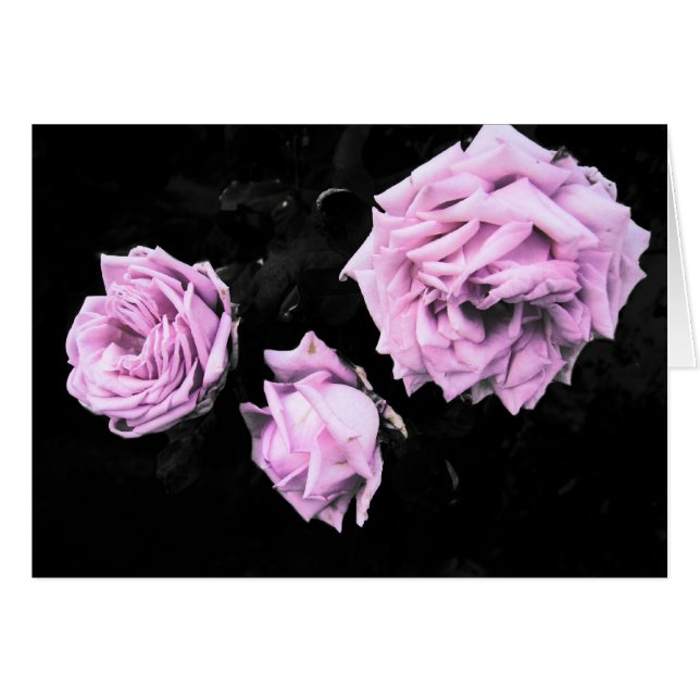 Cartão Rosas (Frente Horizontal)