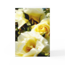 Rosas Amarelas Dreamy AH2010