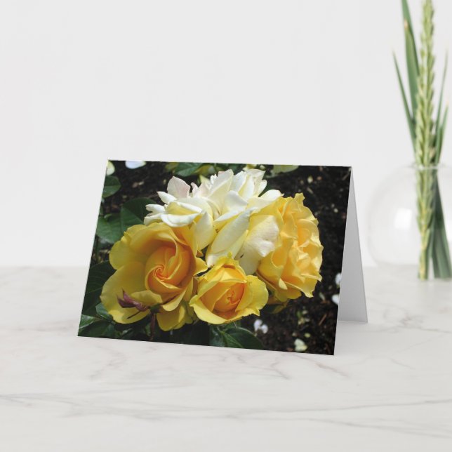 Cartão Rosas amarelas e brancas (Frente)