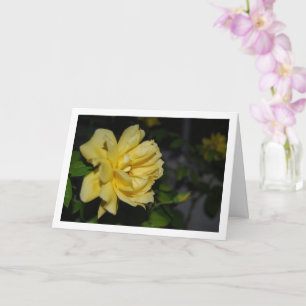 Cartão Rosas Amarelas no Retrato Noturno