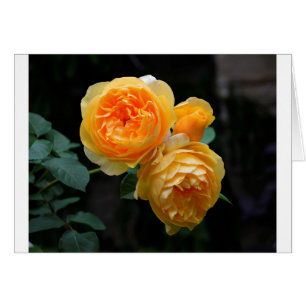 Cartão Rosas Amarelos