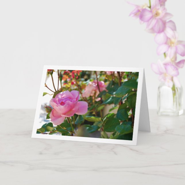 Cartão Rosas Cor-de-Rosa (Orquídea)
