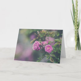 Cartão Rosas da couve