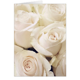 Cartão Rosas de Creme