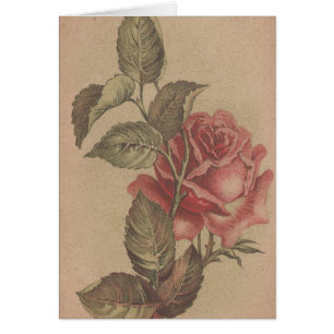 Cartão Rosas do vintage