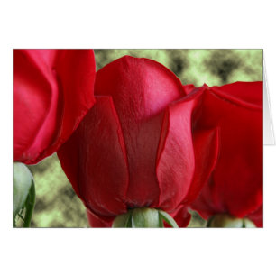 Cartão rosas doces