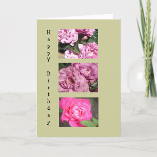 Cartão Rosas Elegantes para um Aniversário