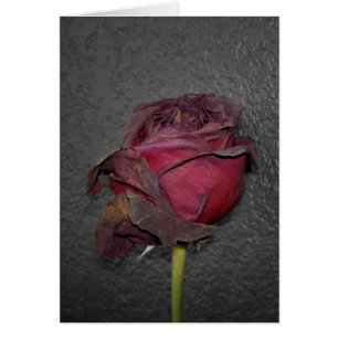 Cartão Rosas inoperantes