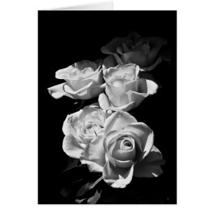 Cartão Rosas negras e brancas
