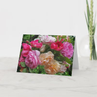 Rosas para o dia das mães