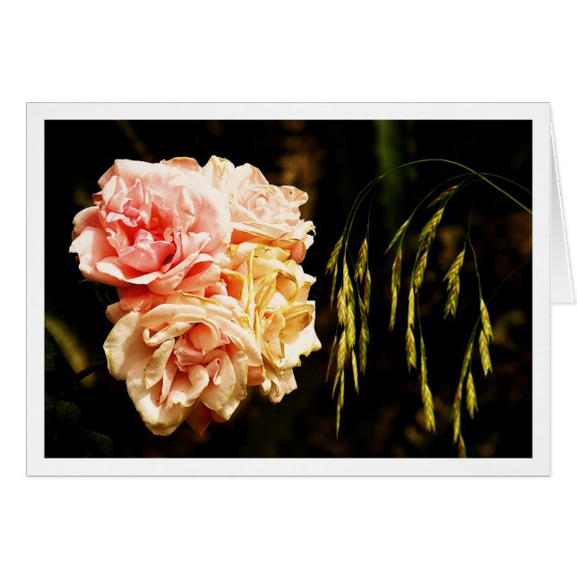 Cartão Rosas para você (Frente Horizontal)