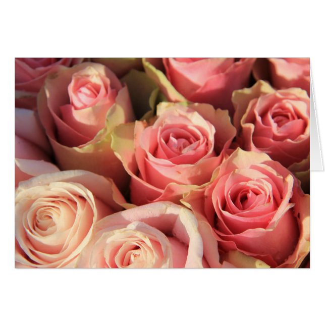 Cartão Rosas rosa de Therosegarden (Frente Horizontal)