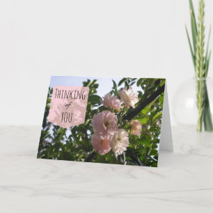 Cartão Rosas rosa pensando em você