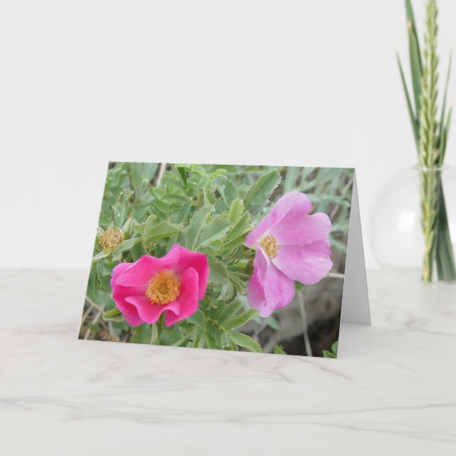 Cartão Rosas Silvestres F4 (Frente)