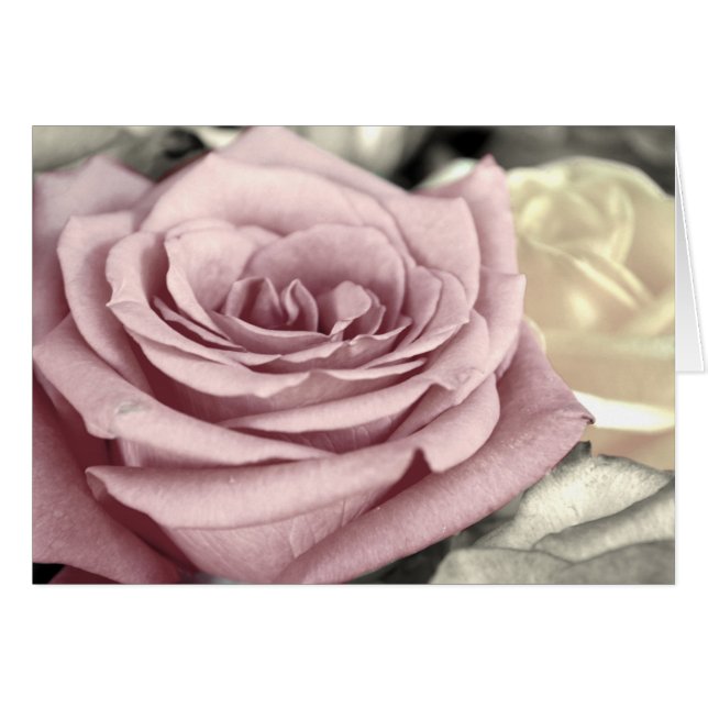 Cartão ~Rosas SToP ND SMeLL TH~ (Frente horizontal)