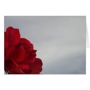 Cartão Rosas vermelhas contra o céu azul brilhante