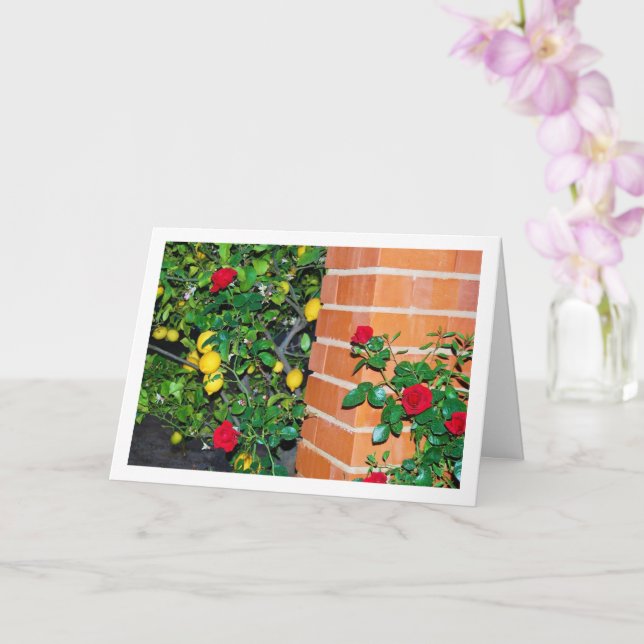 Cartão Rosas vermelhas e limões (Orquídea)