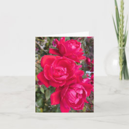 Cartão Rosas vermelhas, Três Rosas vermelhas Escuras Em U